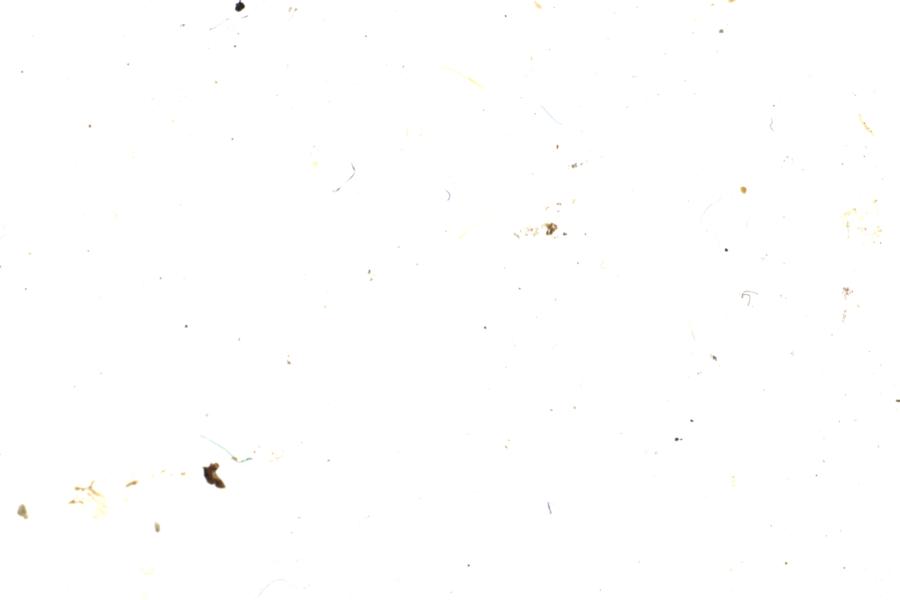 Image 26